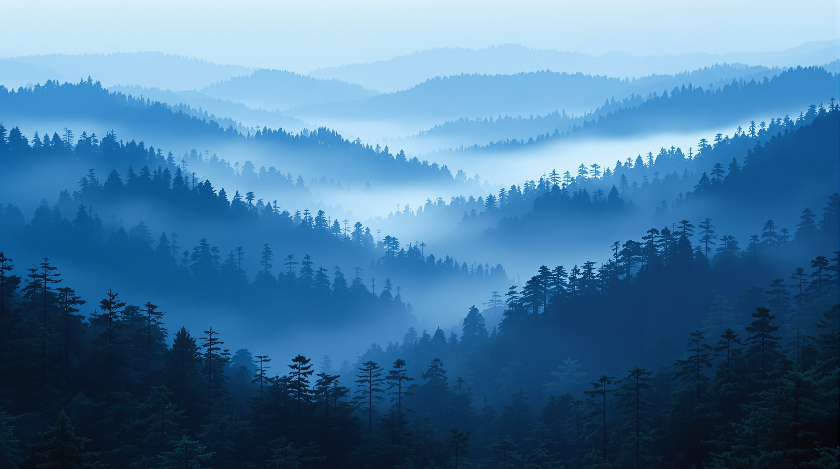 새벽 산 능선, 여명